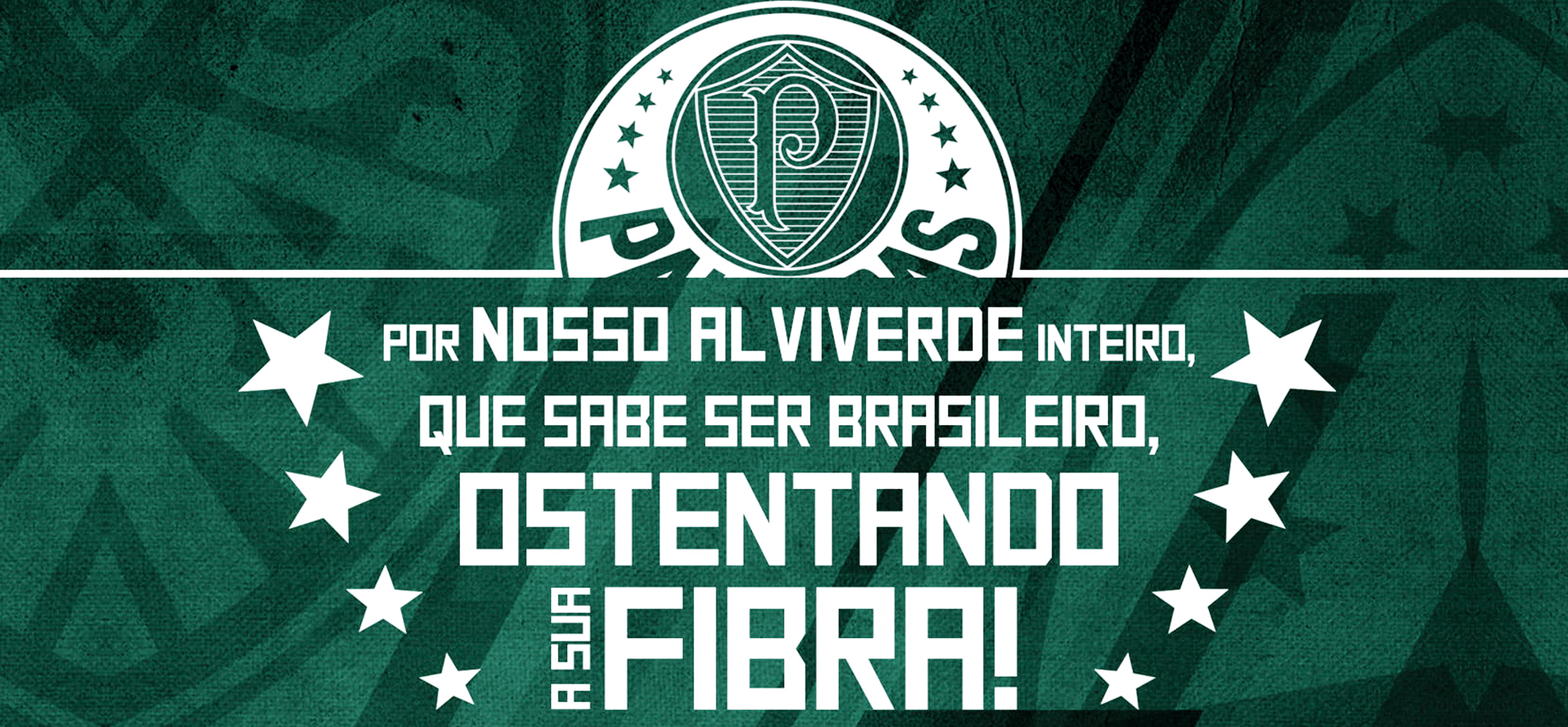 ARTE PALMEIRAS OSTENTANDO A SUA FIBRA 2021 2022 -ESTAMPA PARA CANECA CLUBE DAS ESTAMPAS.png
