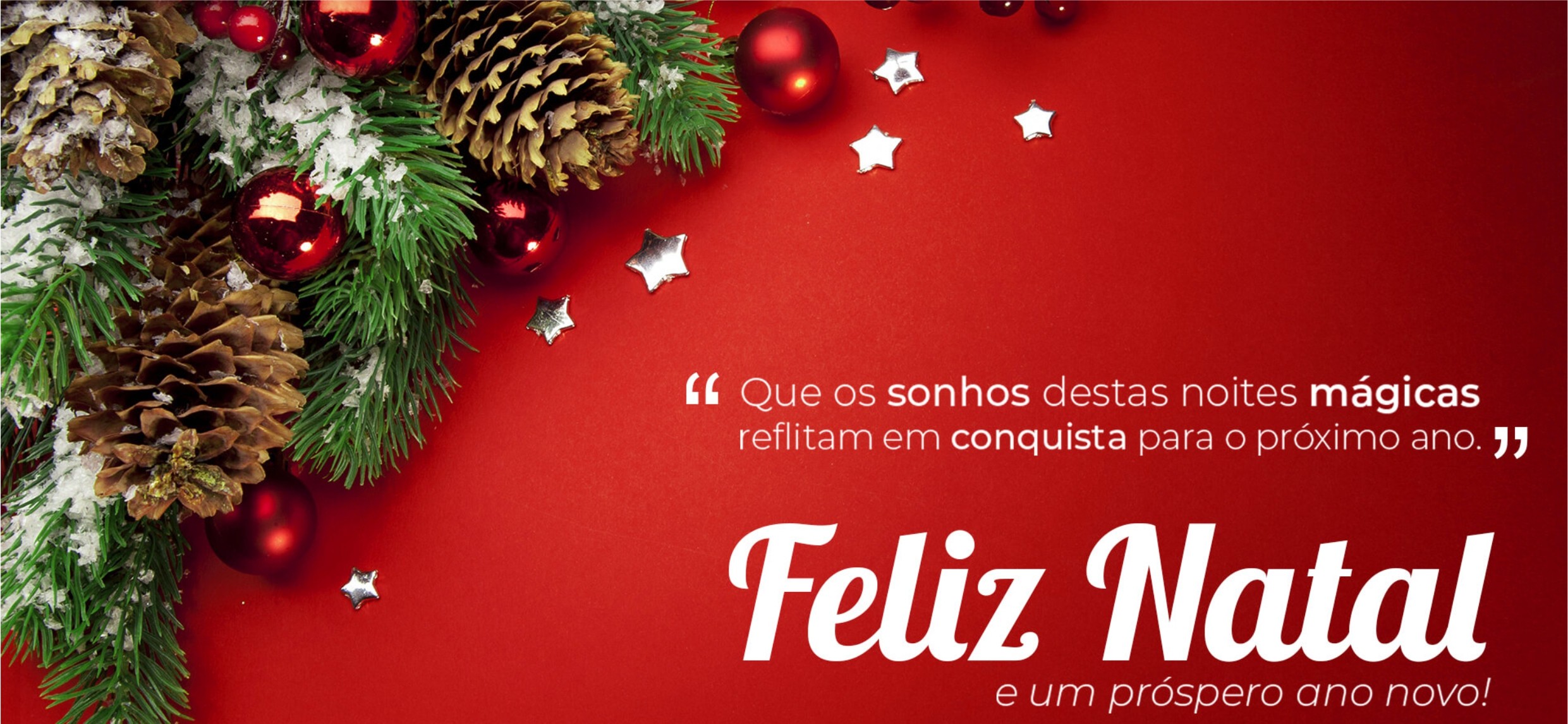 ARTE NATAL  ESTAMPA PARA CANECAS-CLUBE DAS ESTAMPAS 01.jpg